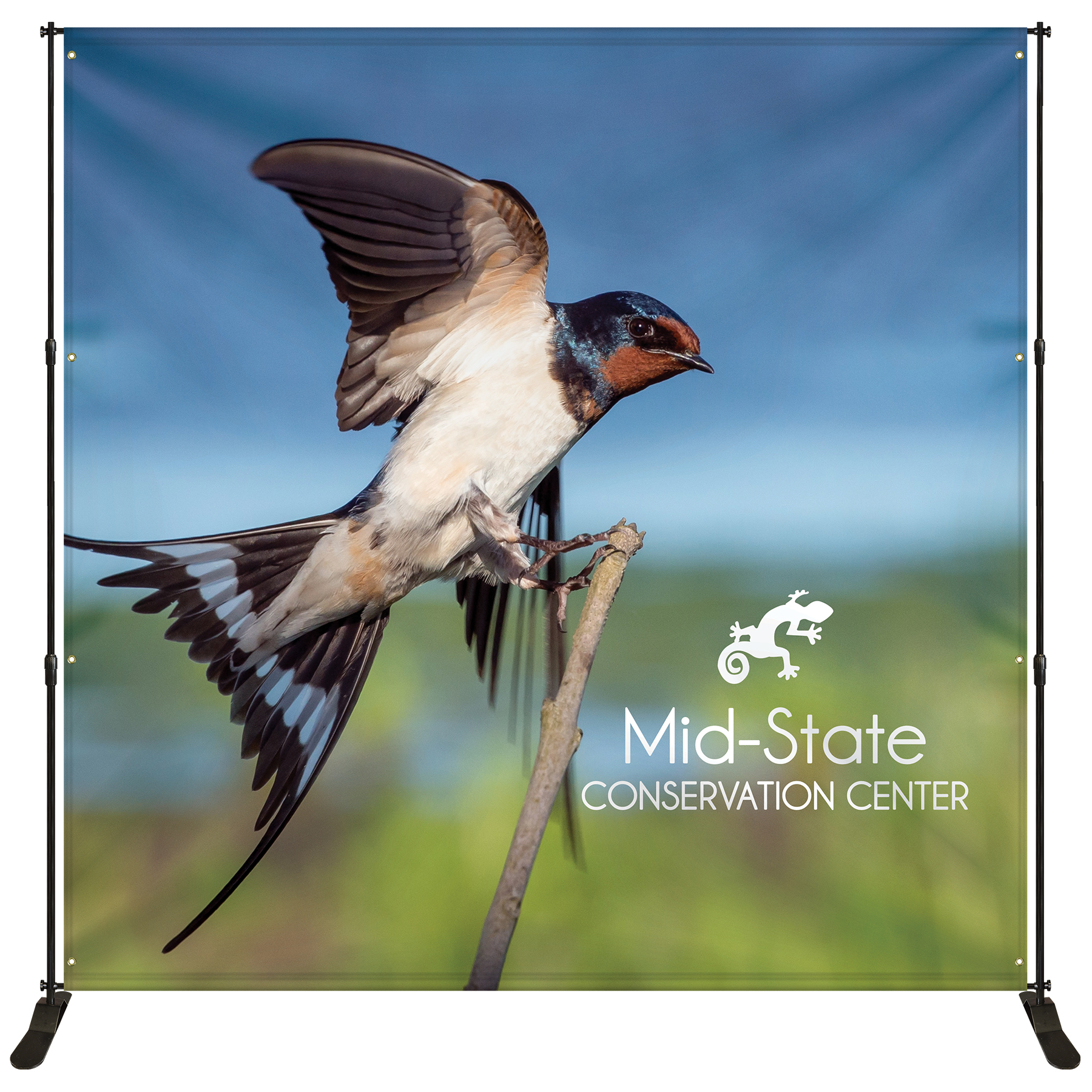 10' x 10' Premium Backdrop Banner Wall Kit 14