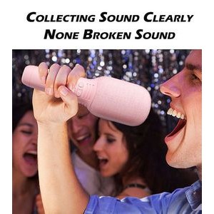 Wireless Karaoke Microphone For Kids 1