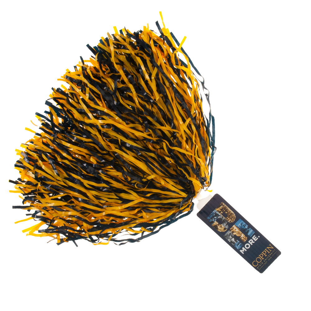 6" Spirit Stick, Plastic Streamers 27