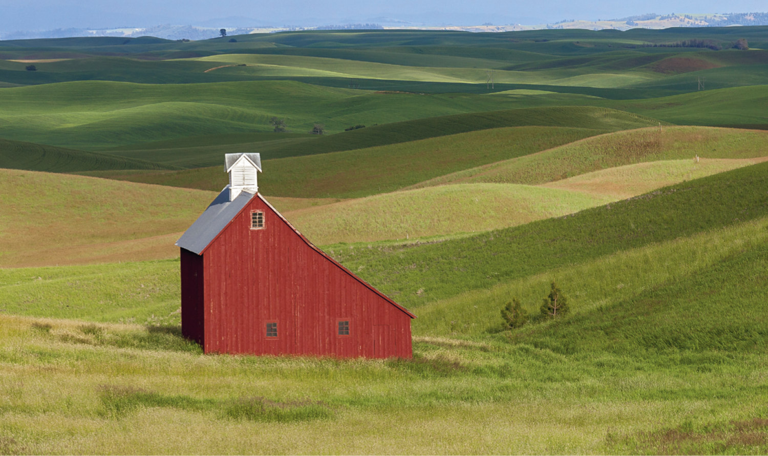 Triumph® Calendars Single Pocket Calendar 44