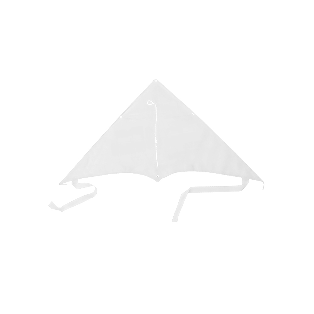 XL Delta Jumbo Kite - 40" X 20" 5