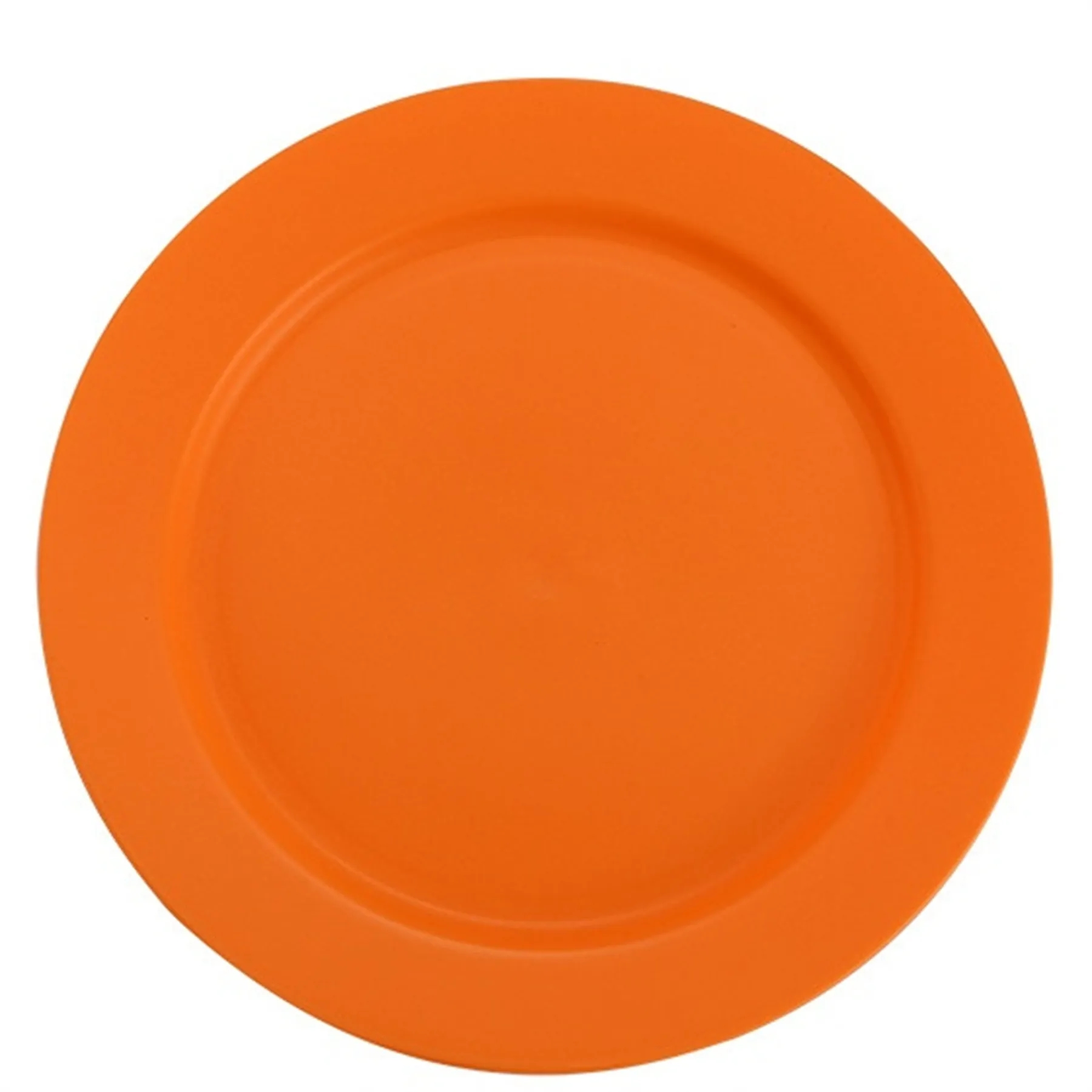 Plastic Plate 9.8 Inch 16