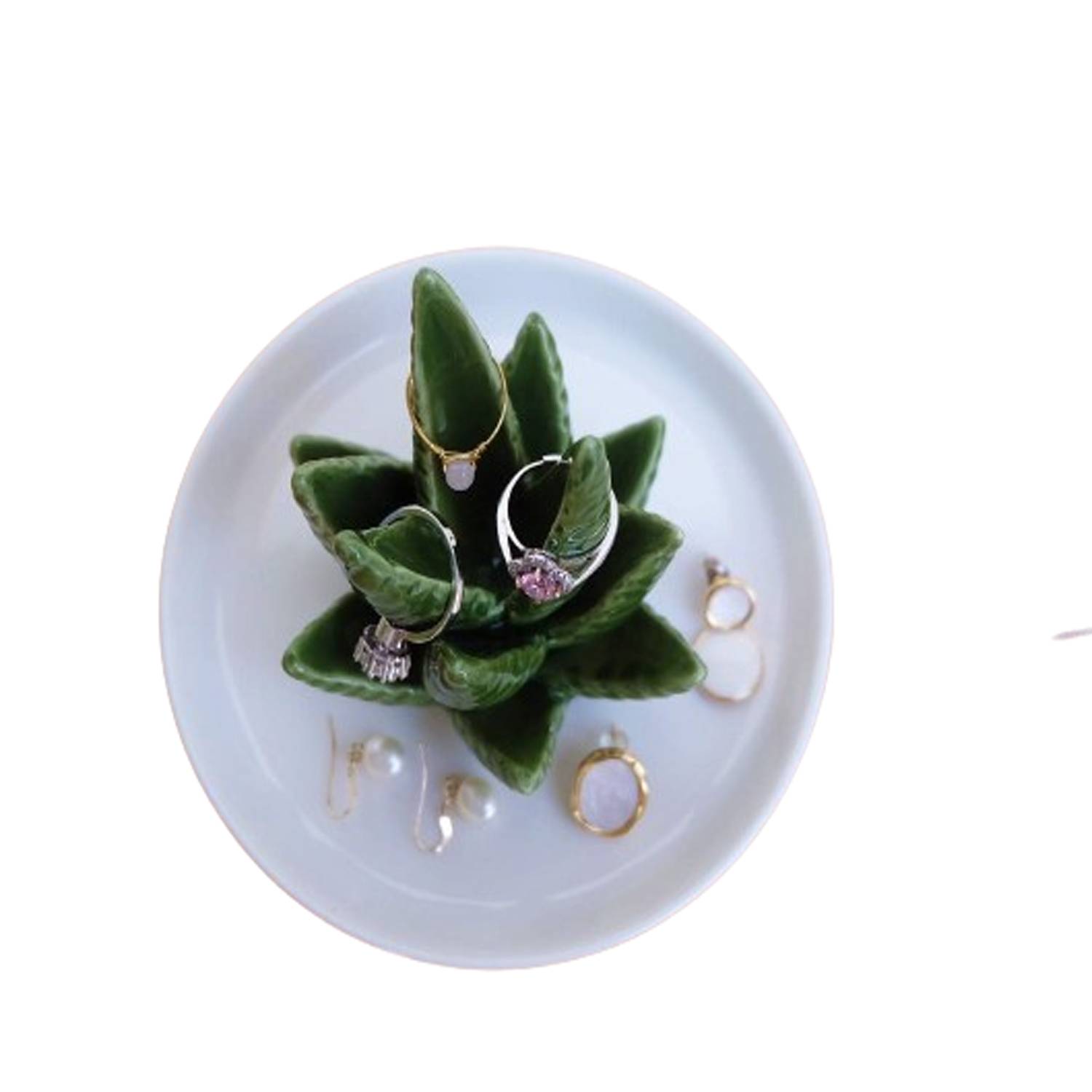 Cactus Decorative Dish Tray 6