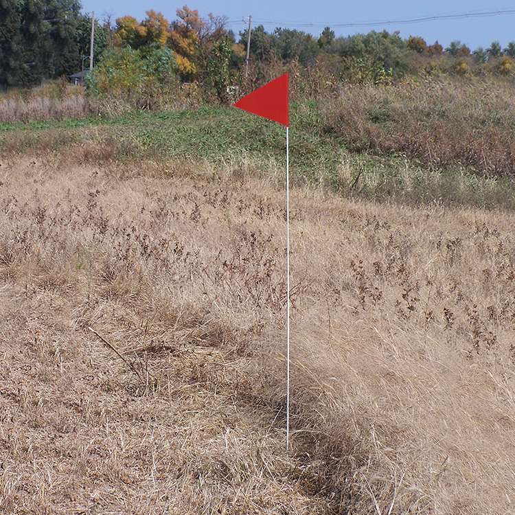 Solid Color Red Pennant Field Flag w/White Staff 4