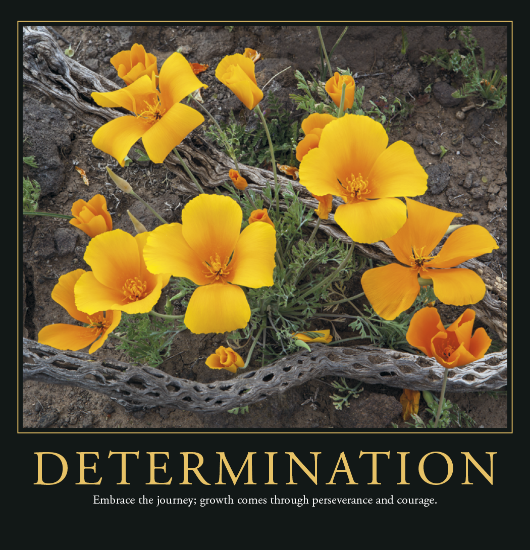Triumph® Calendars Motivations Calendar 20