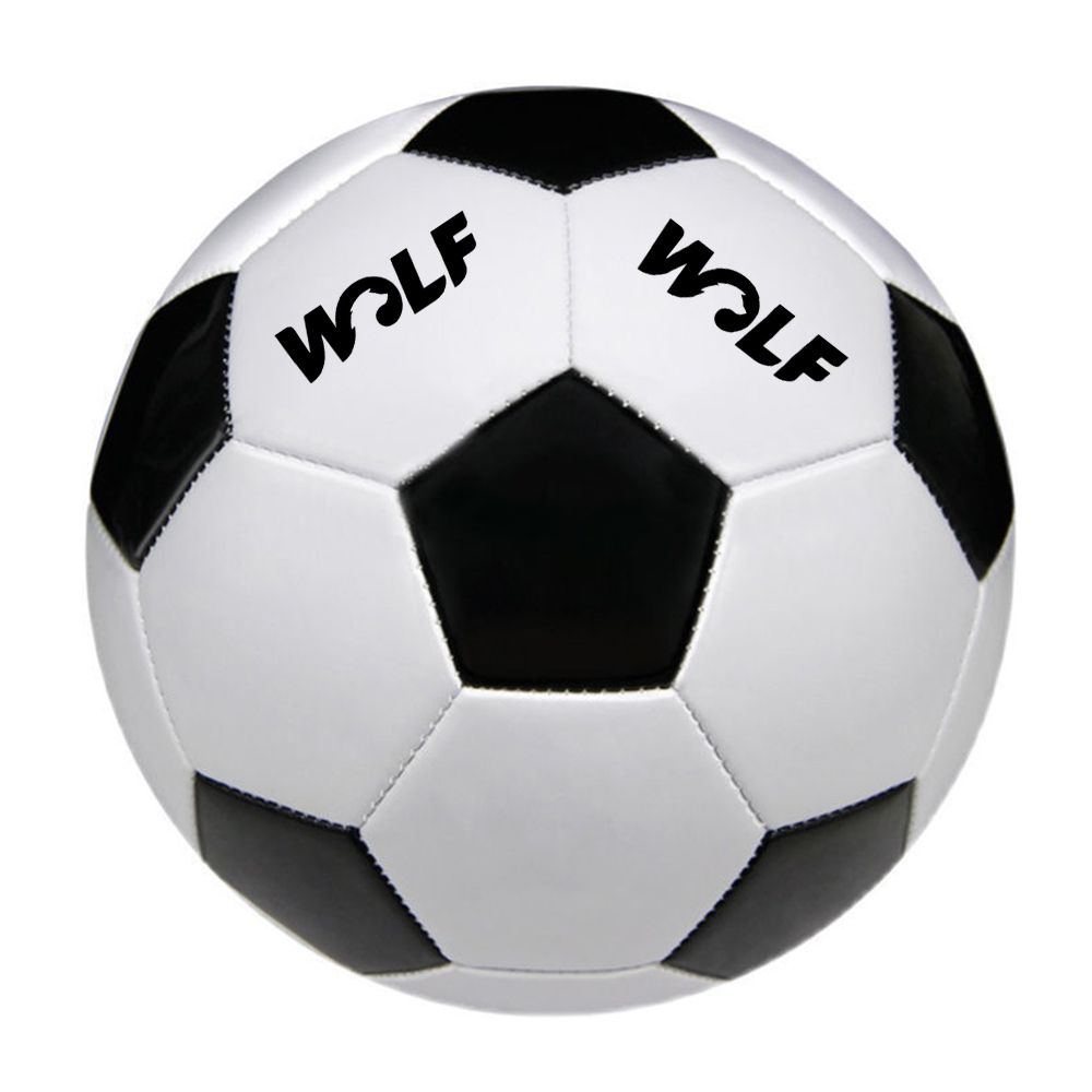 Size 2 Soccer Ball 2