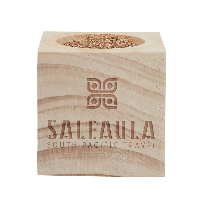 Sprigbox Christmas Tree Grow Kit 7