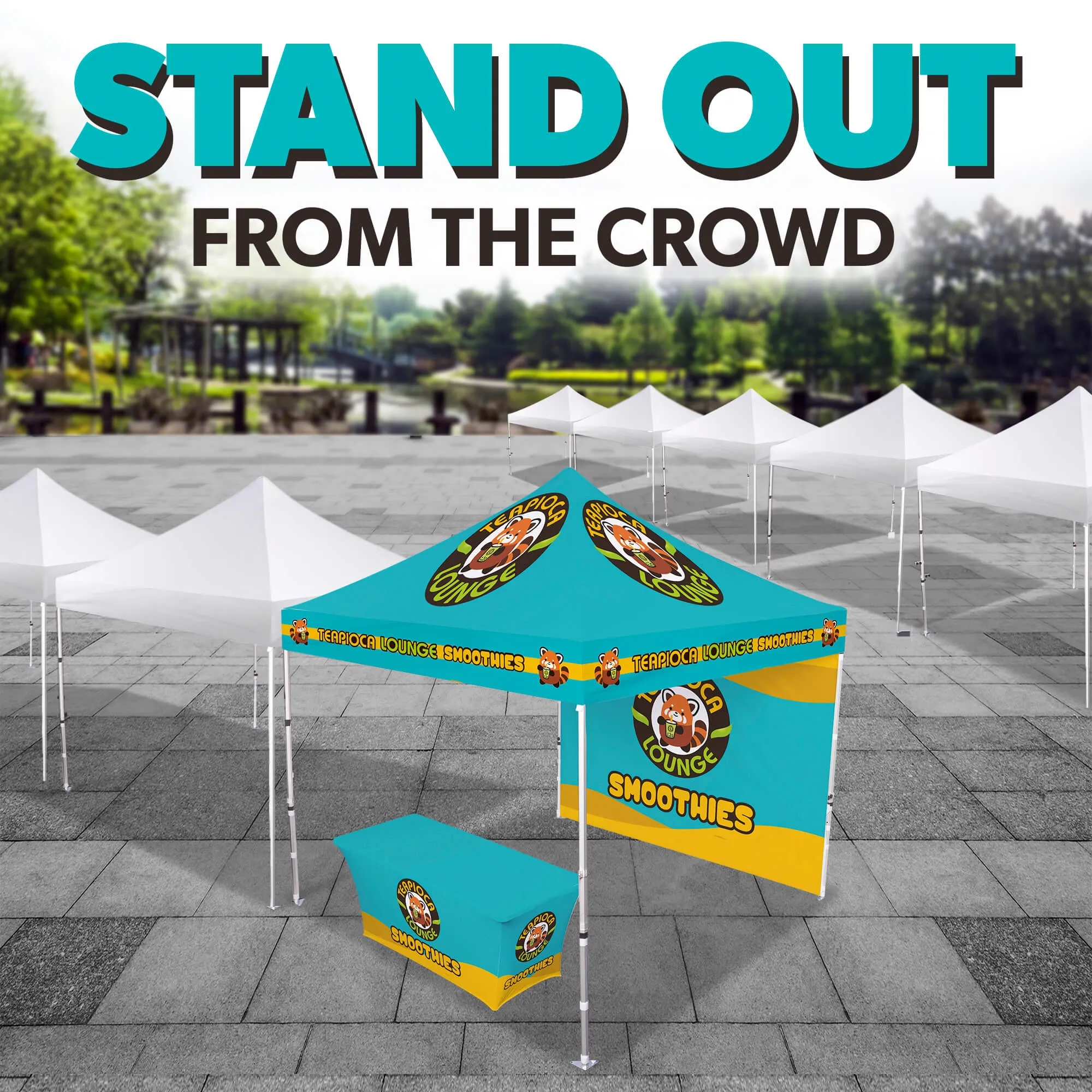 10ft x 10ft Custom Canopy Tent - Event Silver Package 8