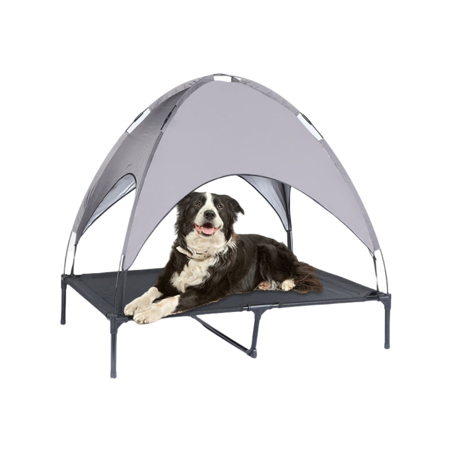 Foldable Elevated Pet Dog Bed 7