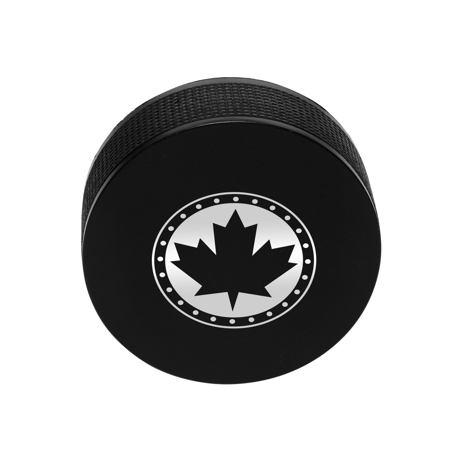 Hockey Puck Stress Ball 2