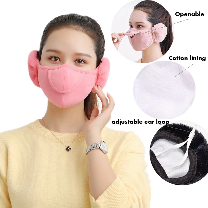 Winter Face Bandanas/Mask 3