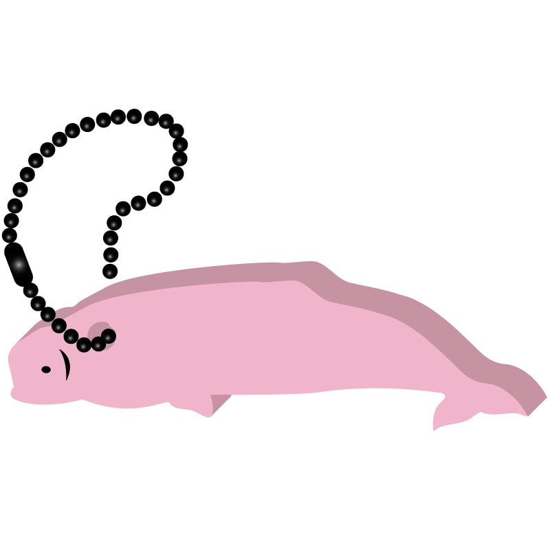 Beluga Whale Key Tag 18