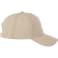 Unisex DOMINATE Ballcap 479