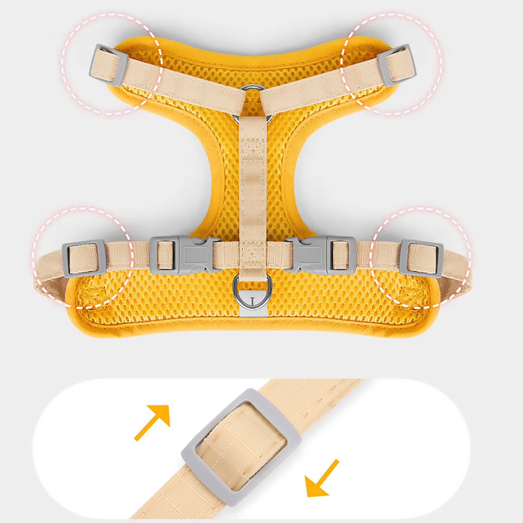 Polyester Pet Leashes When You Go Out 6
