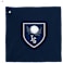 12" x 12" Recycled 200g Microfiber Towel 9