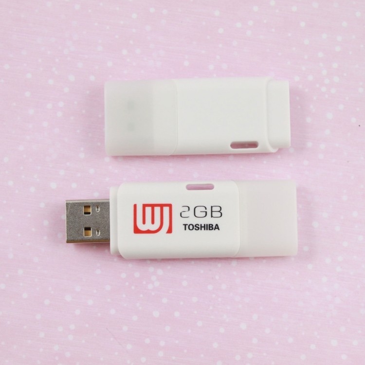 ABS Plastic Popular 2GB USB Disk USB Flash Drives 2