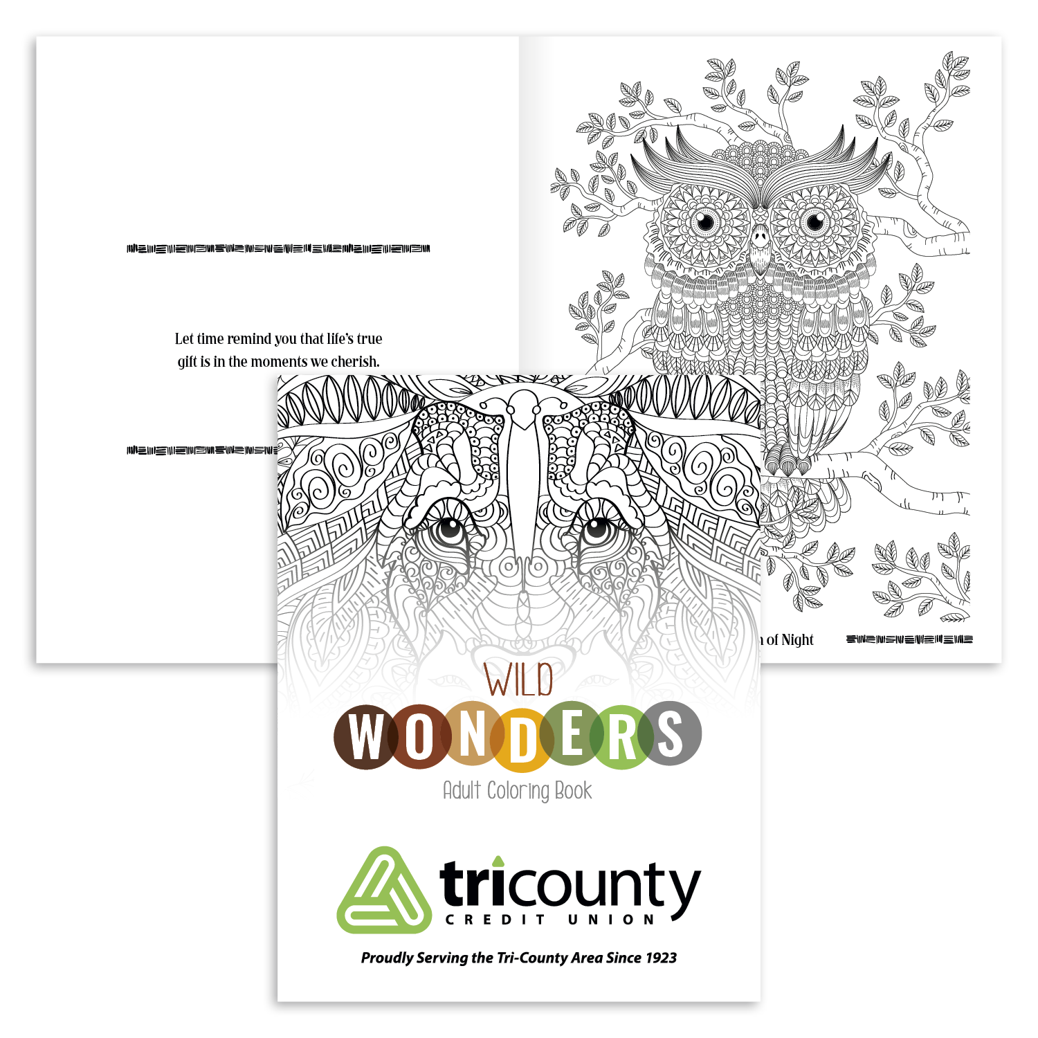 Good Value™ Wild Wonders Adult Coloring Book 25