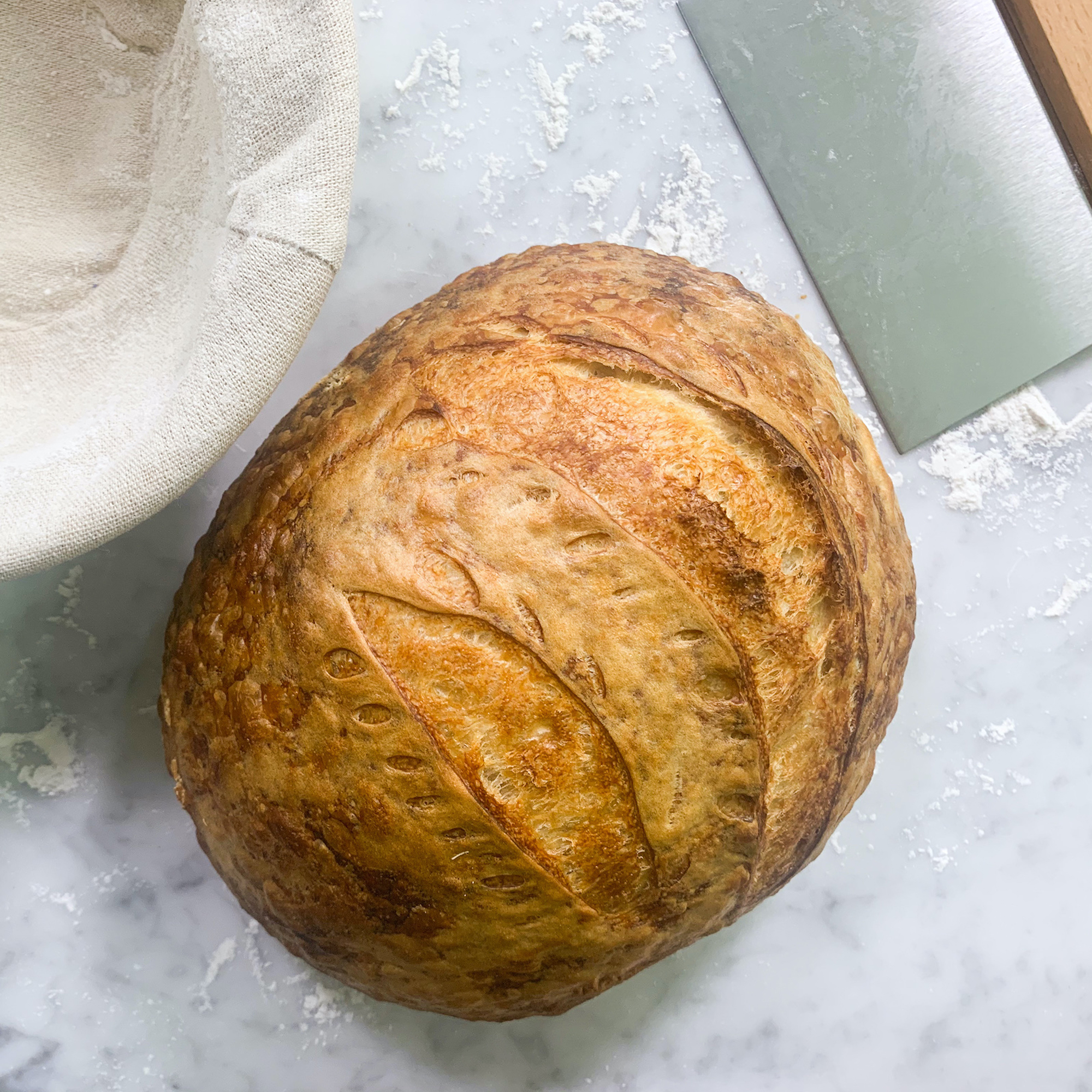 FarmSteady Sourdough Bread Winner Kit 3