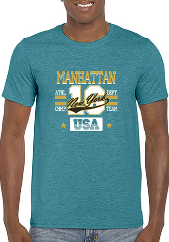 4.5 oz 100% Cotton Preshrunk Tees 194