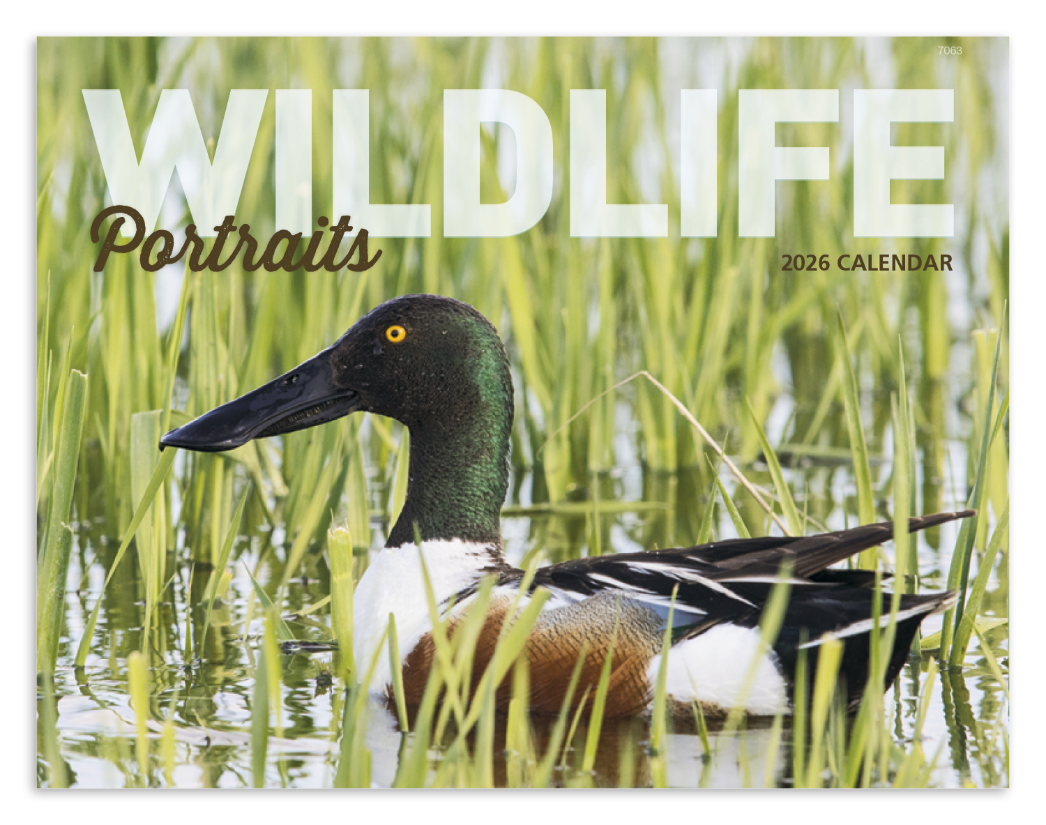 Good Value™ Wildlife Portraits - Window Calendar 2