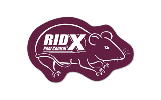 Rat/Mouse Vinyl Jar Opener 94
