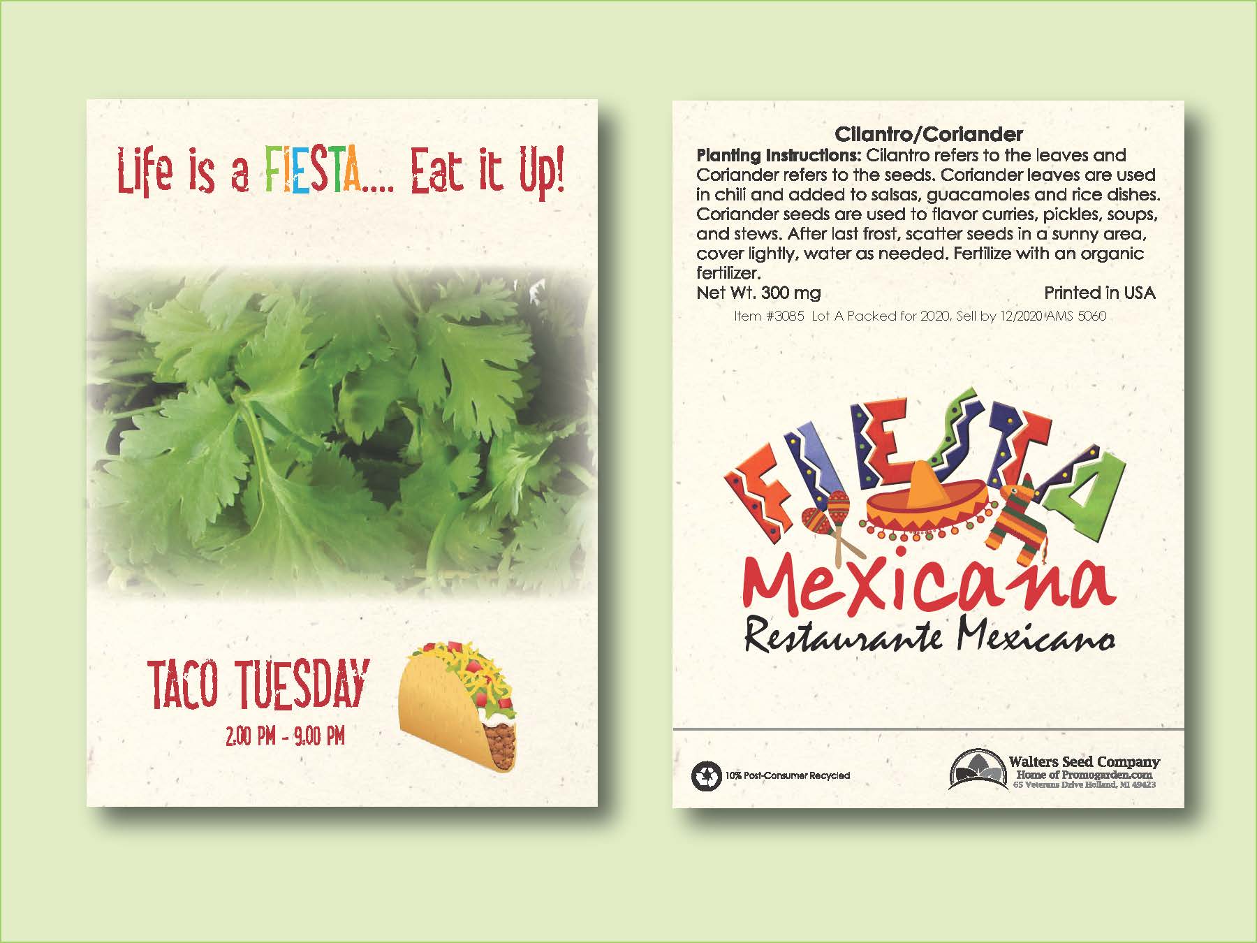 Cilantro/ Coriander Herb Seed Packet - Size 3.25" x 4.5"