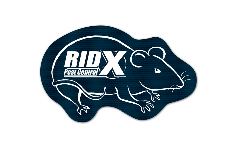 Rat/Mouse Rubber Jar Opener 71