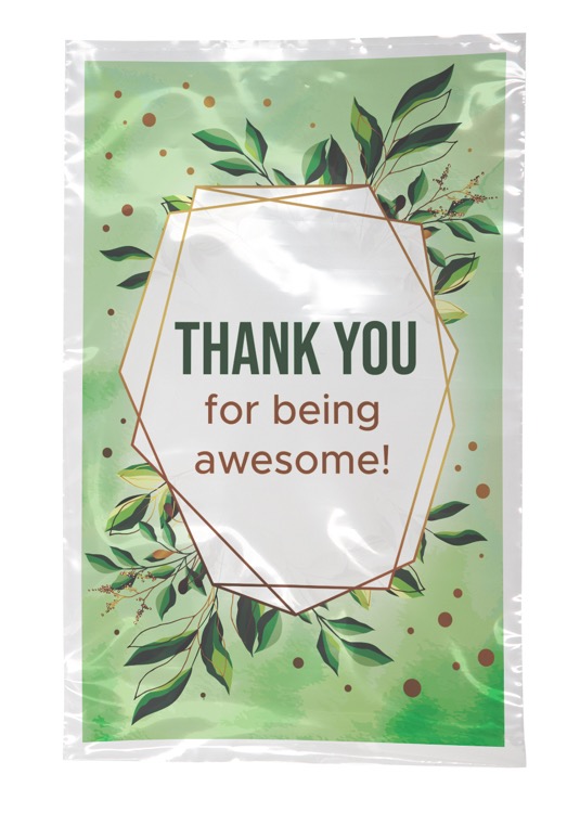 Digital Full Color 1-Sided Open Ended Clear Plastic Bag (6"x9")