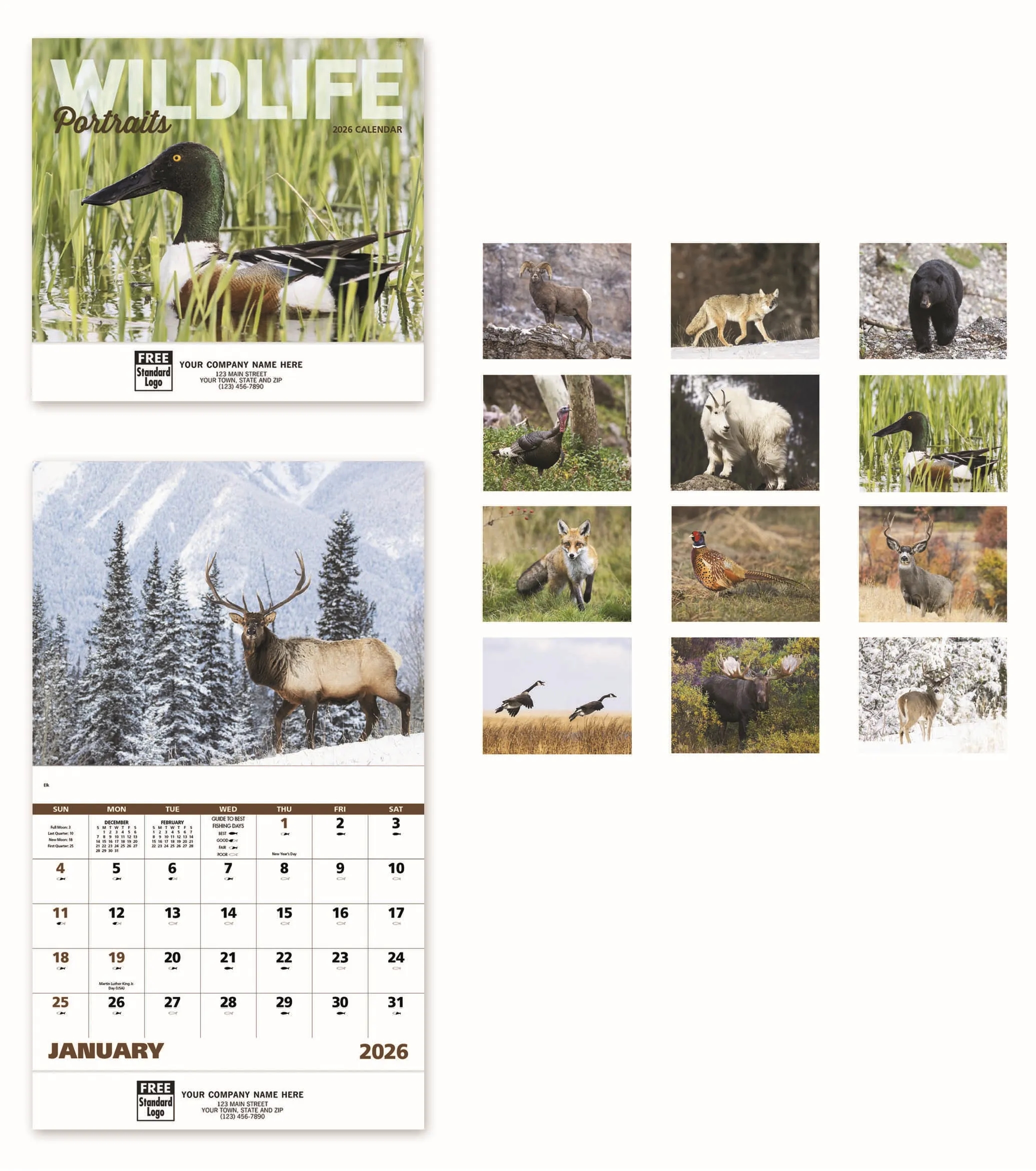 Calendars - Wall, Wildlife Portraits