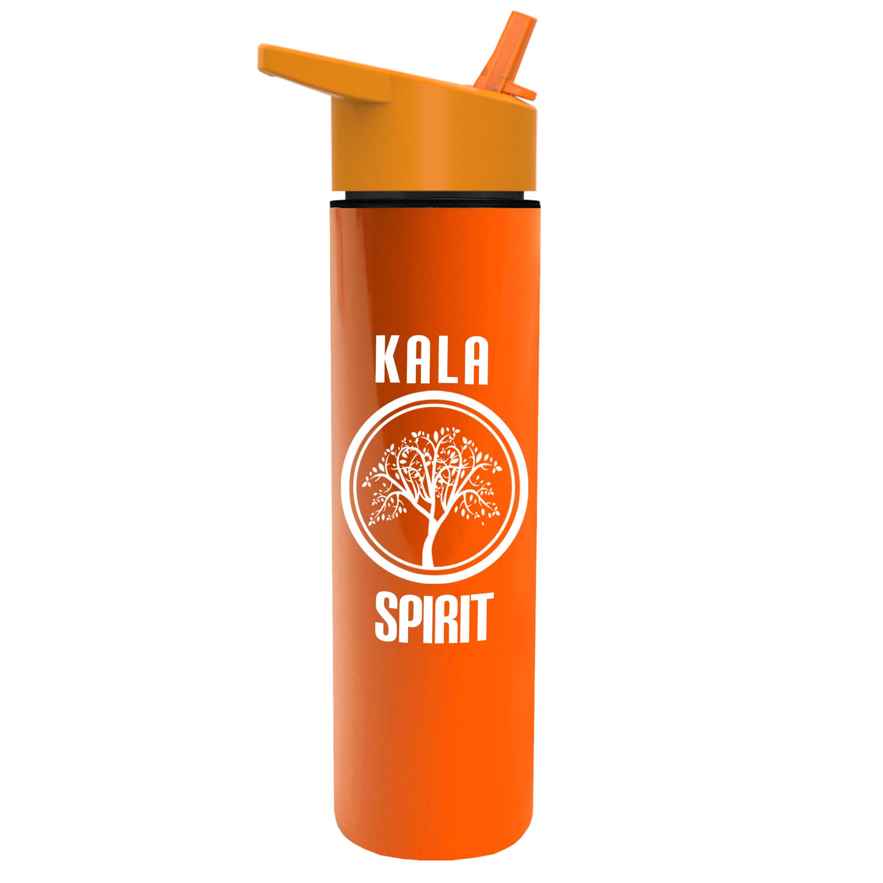 The Chiller - 16 oz. Double Wall Insulated Bottle with Flip Straw 25