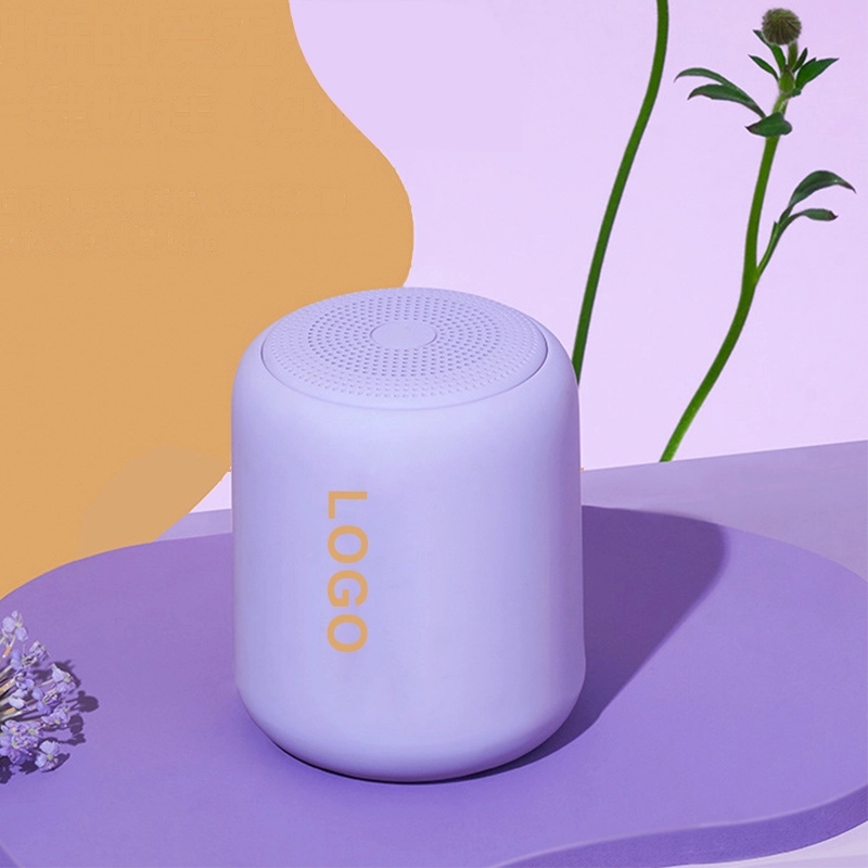 Outdoor portable bluetooth speaker 3