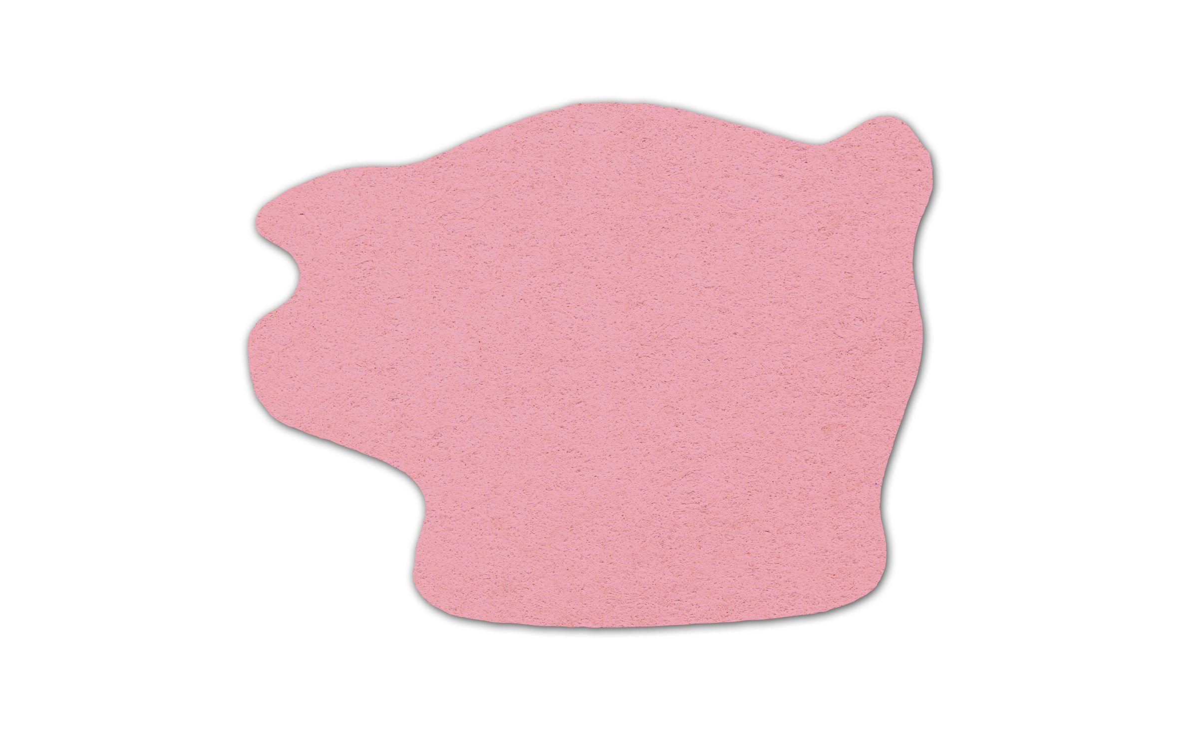 Piggy Bank Compressed Sponge 4PG 13