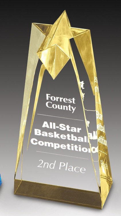 10" Gold Sculpted Star Acrylic Award 1