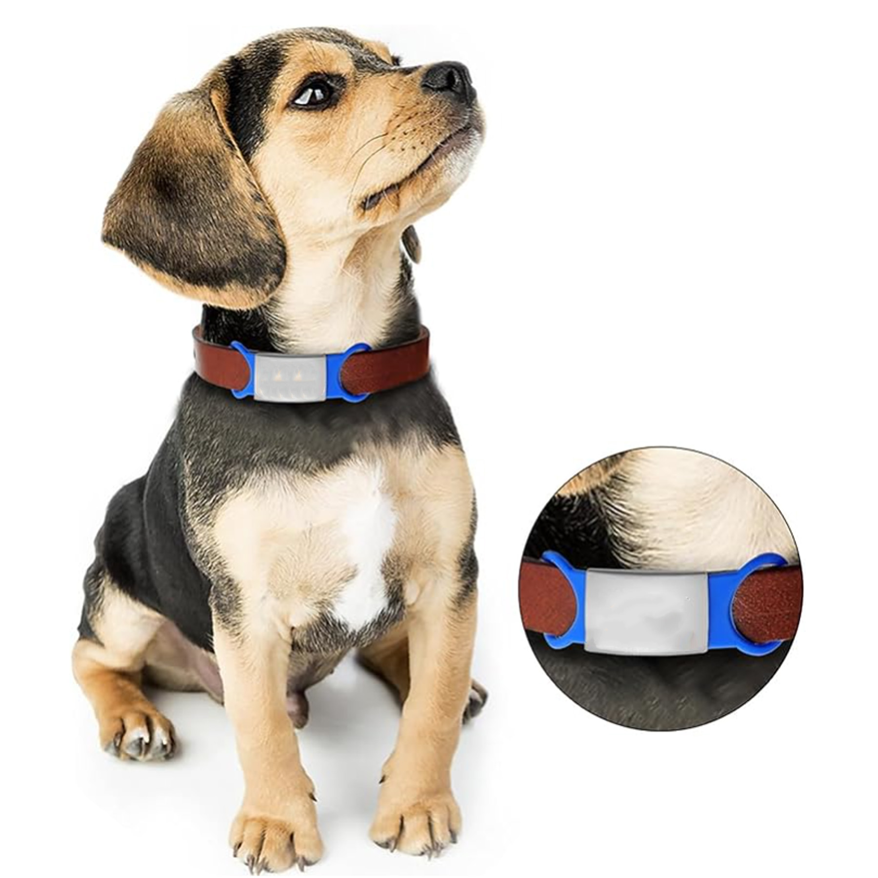 Pet Silicone Metal Anti Slip Tag 3
