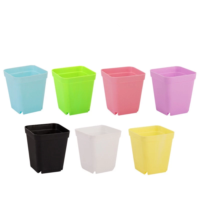 Succulent Plant Pot 2