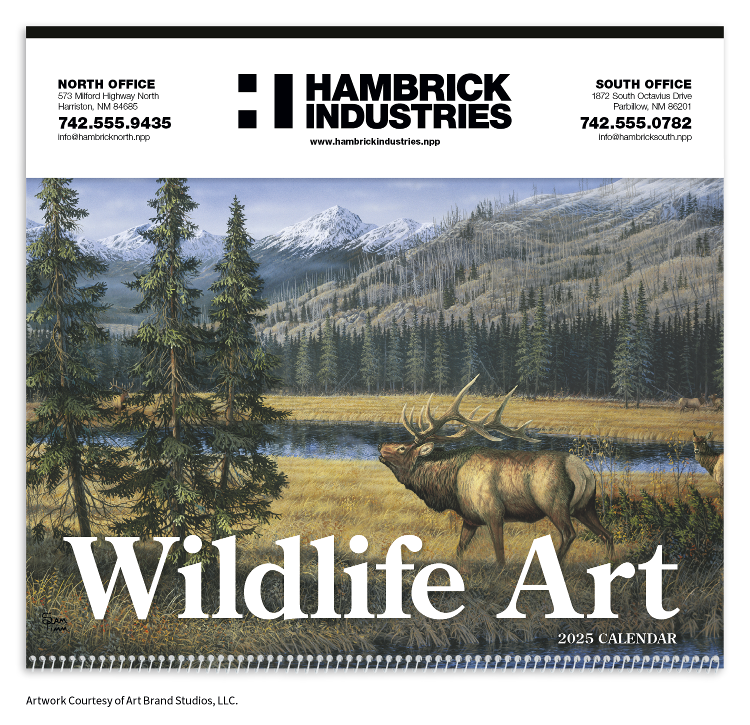 Triumph® Calendars Wildlife Art Calendar 12