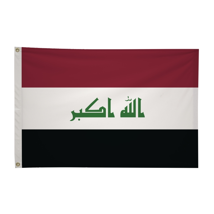 2' x 3'International Flag 154