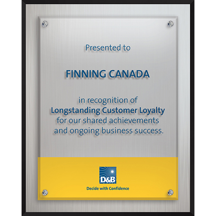 Econo Series Aluminum Plaque (8"x 10"x 1") Screen-Printed