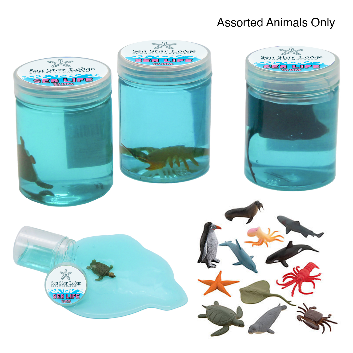 Sea Life Slime 1