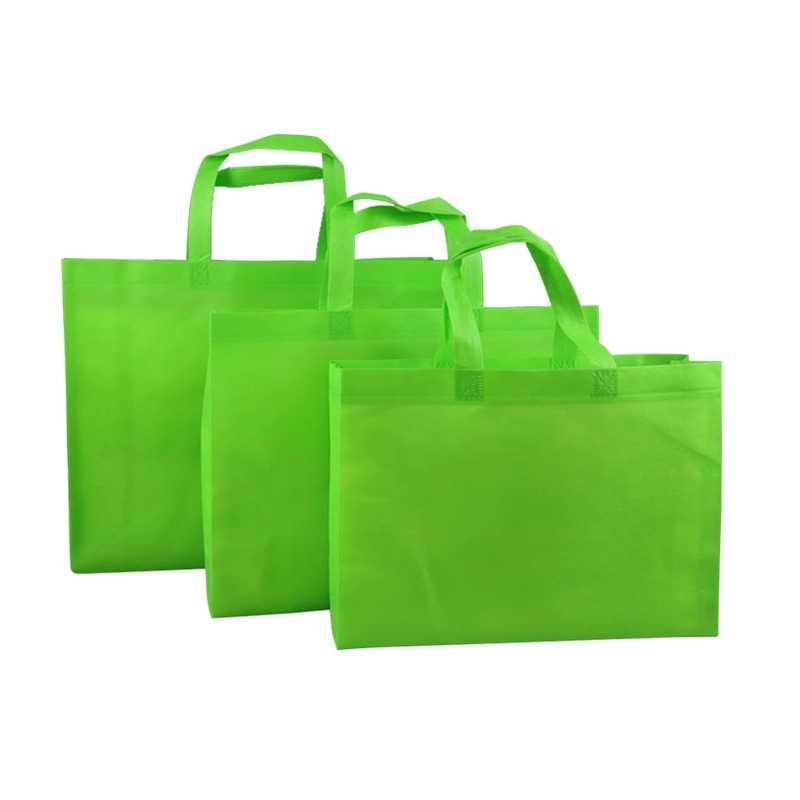 Non-woven Gift Bag 4