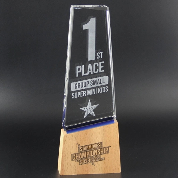 Wood Base Crystal Trophy 6