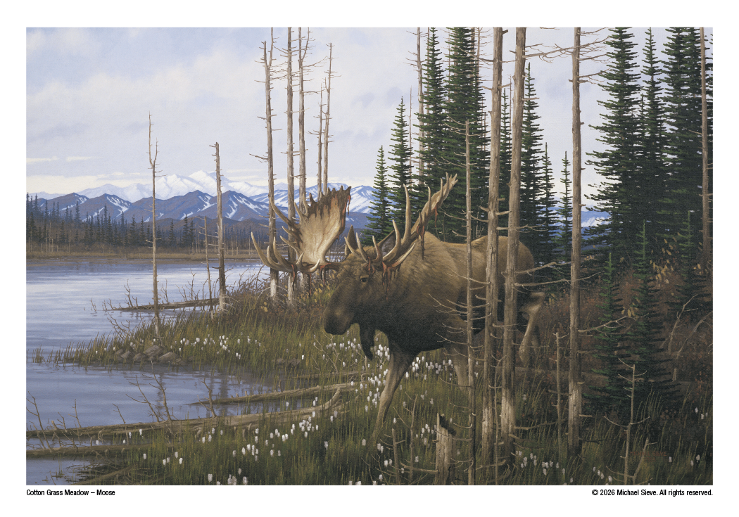 Triumph® Calendars Wildlife Art Calendar 31