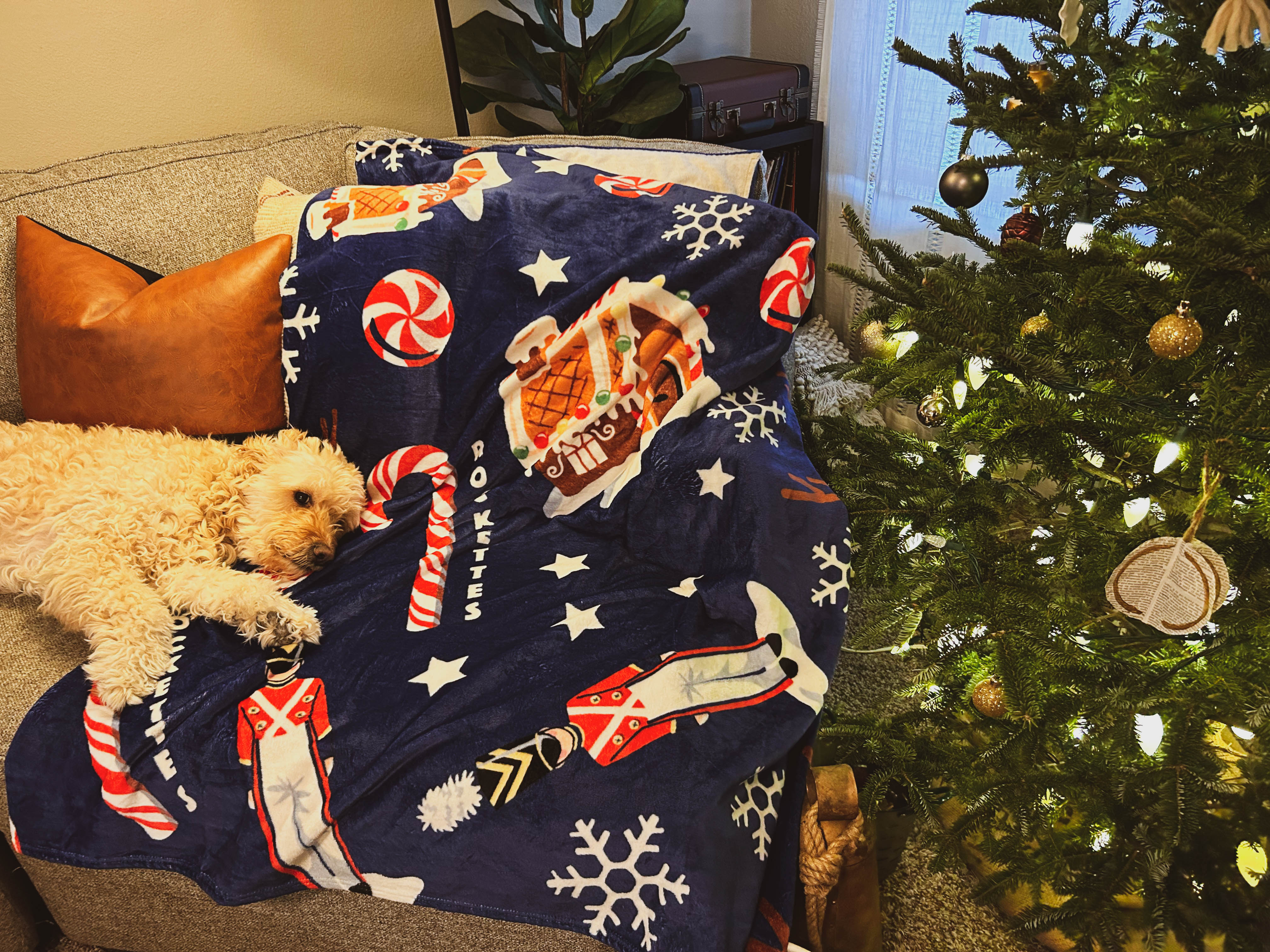 Plush Blanket- Large 3