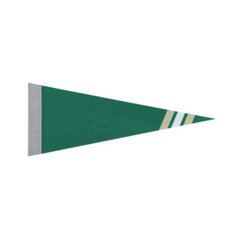 Felt Pennant 1