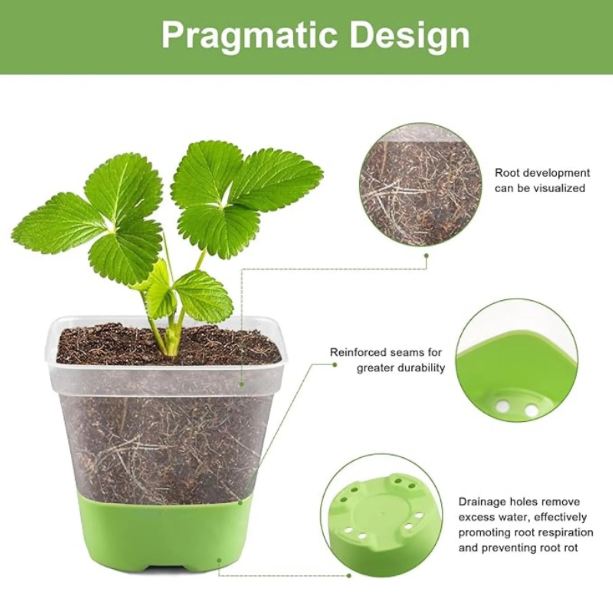 3-Inch Transparent Planting Seedling Tray 2