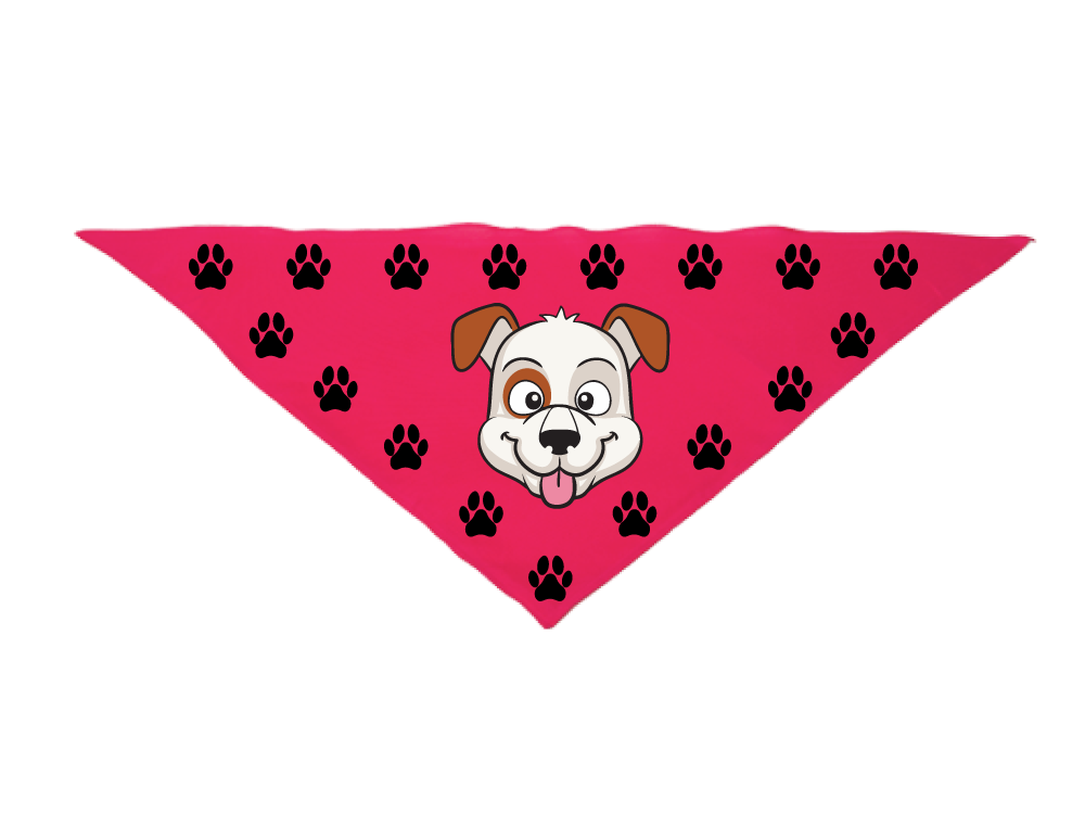 Triangle Bandanna 10