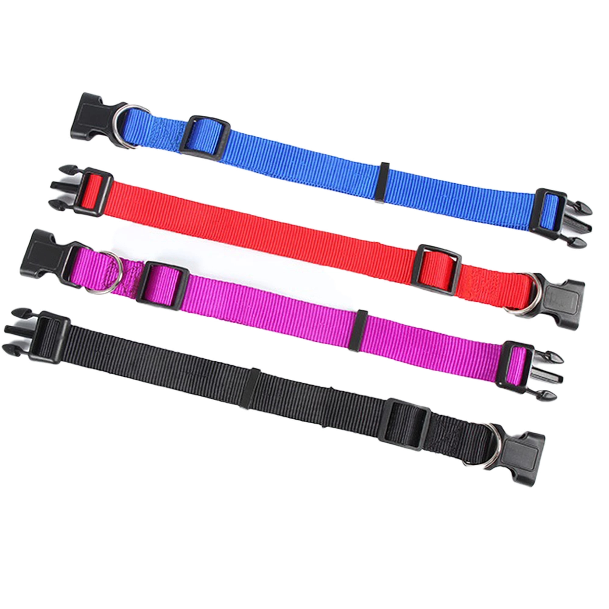 Dog Collar 3