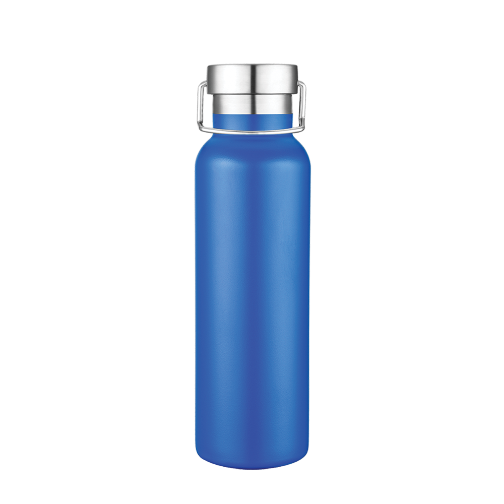 Slate 20oz Vaccuum Bottle