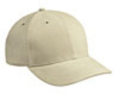 Embroidered Brushed Bull Denim Caps 8