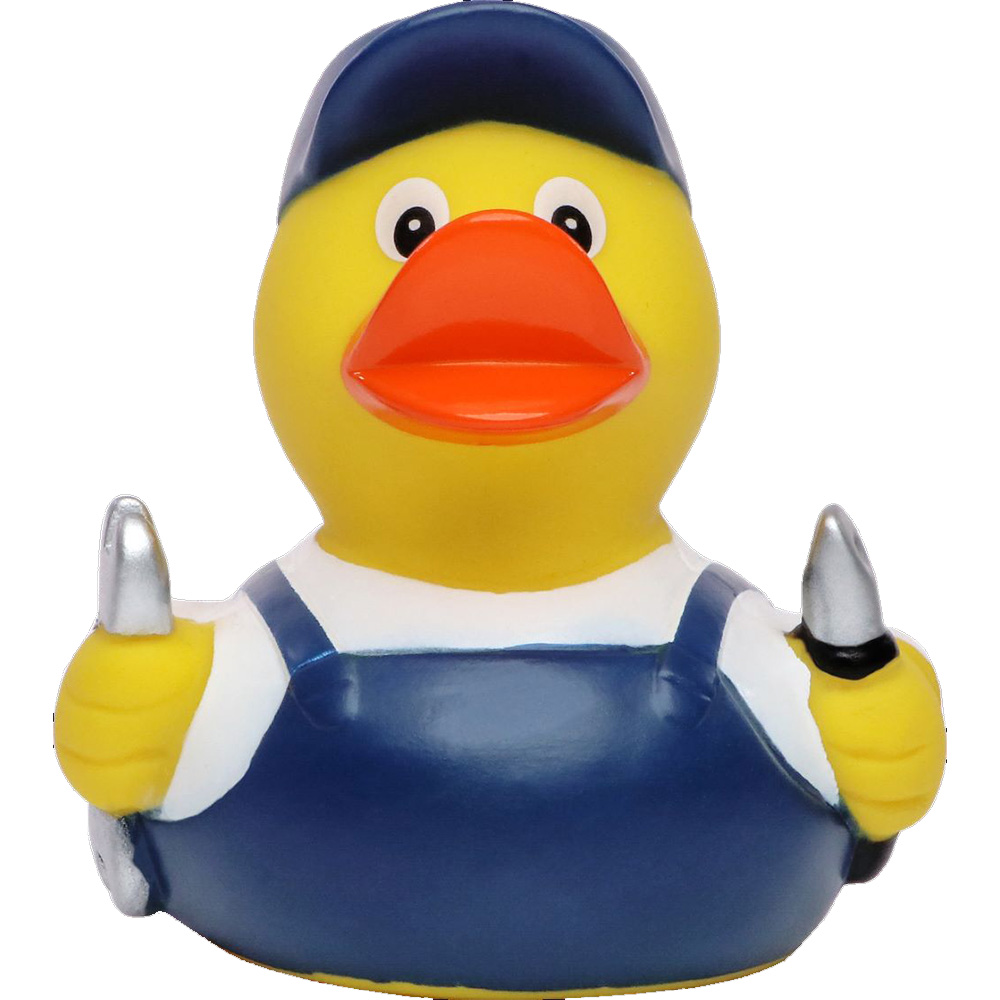Mechanic Duck 5